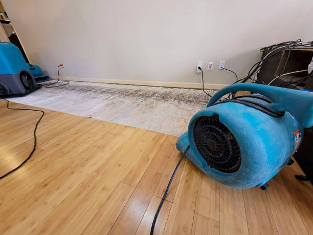 Professional Basement Flood Cleanup technician working in Belhaven, NC